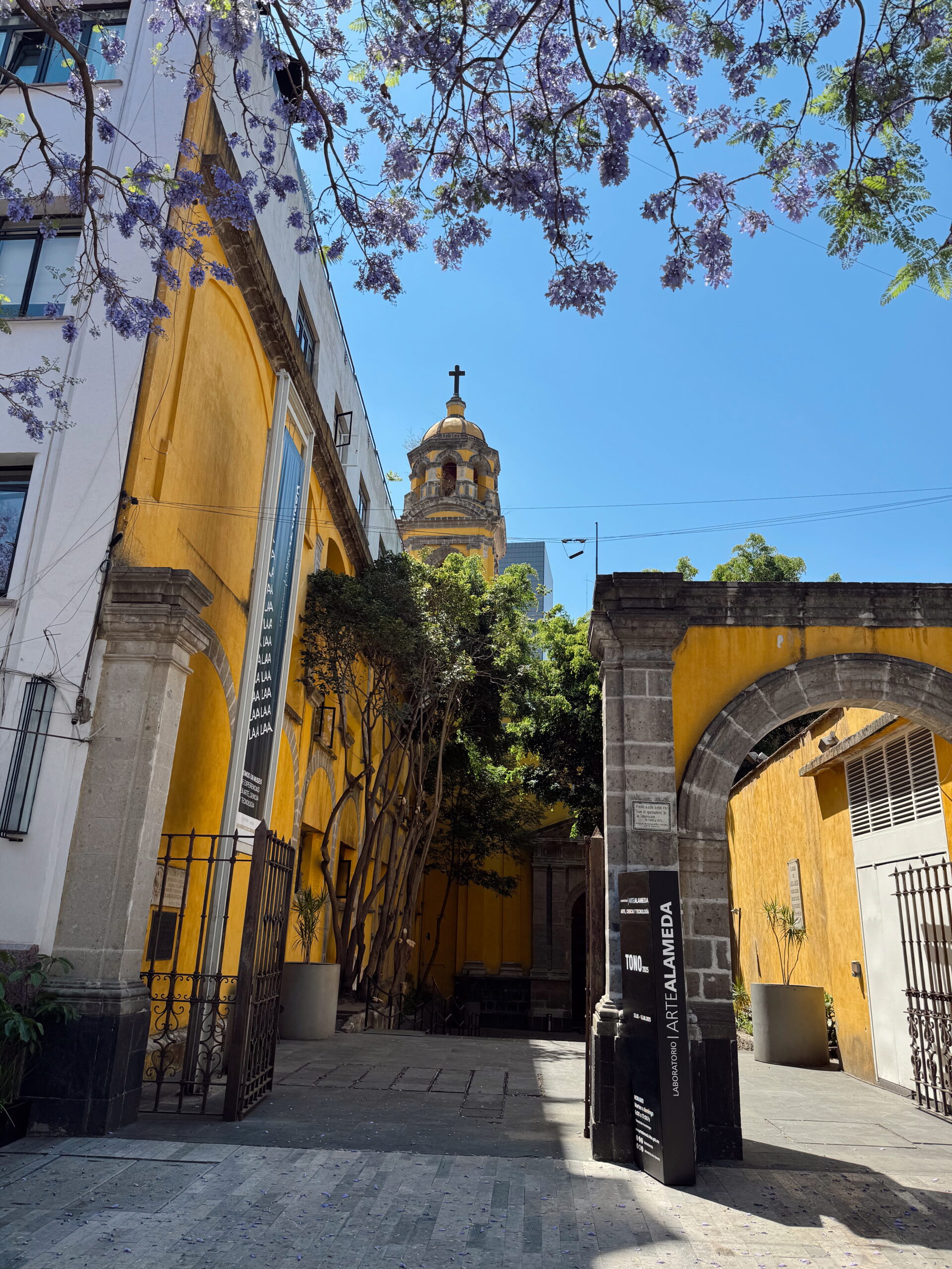 5 Days in Mexico City
